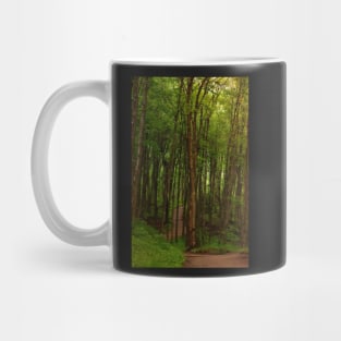 North Woods Mug